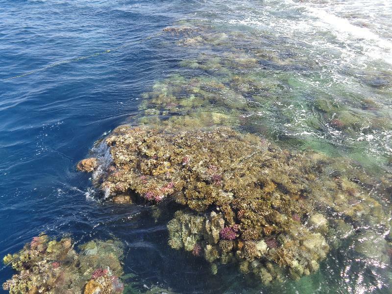 Bliss Abo Nawas Resort Marsa Alam Zewnętrze zdjęcie